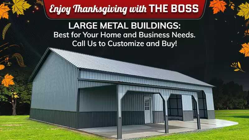 Large Metal Buildings : Best for Your Home and Business Needs